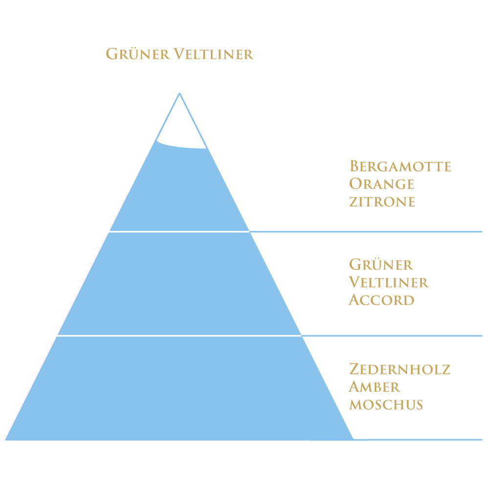 هرم عطر Grüner Veltliner – حمضي، فاكهي، خشبي وأنيق